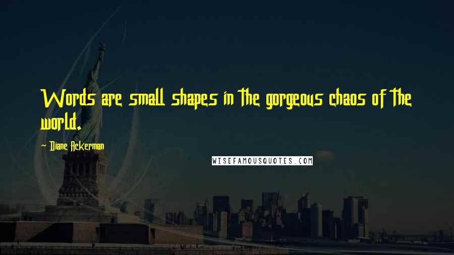 Diane Ackerman Quotes: Words are small shapes in the gorgeous chaos of the world.