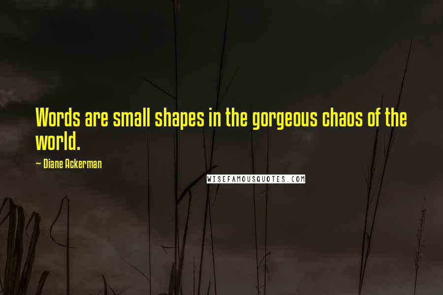 Diane Ackerman Quotes: Words are small shapes in the gorgeous chaos of the world.