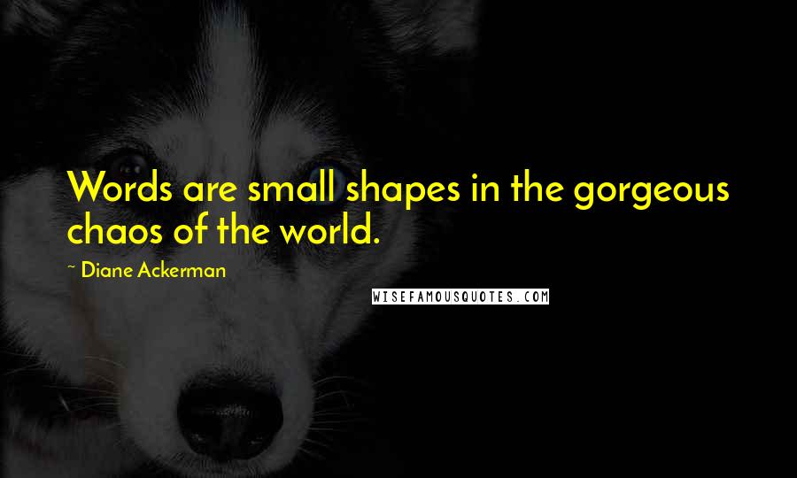 Diane Ackerman Quotes: Words are small shapes in the gorgeous chaos of the world.