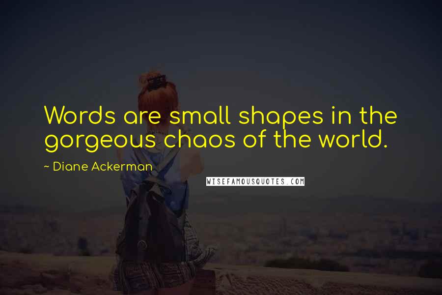 Diane Ackerman Quotes: Words are small shapes in the gorgeous chaos of the world.