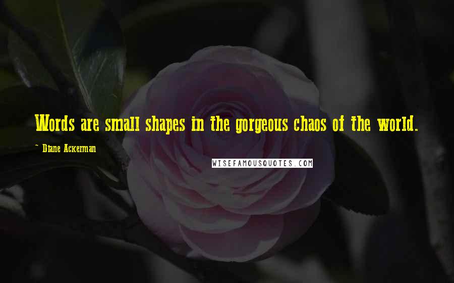 Diane Ackerman Quotes: Words are small shapes in the gorgeous chaos of the world.