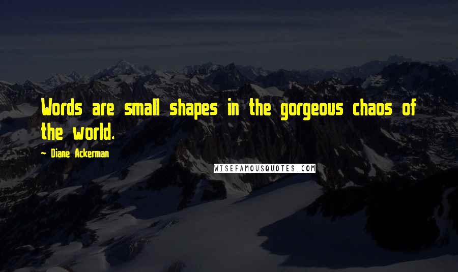 Diane Ackerman Quotes: Words are small shapes in the gorgeous chaos of the world.