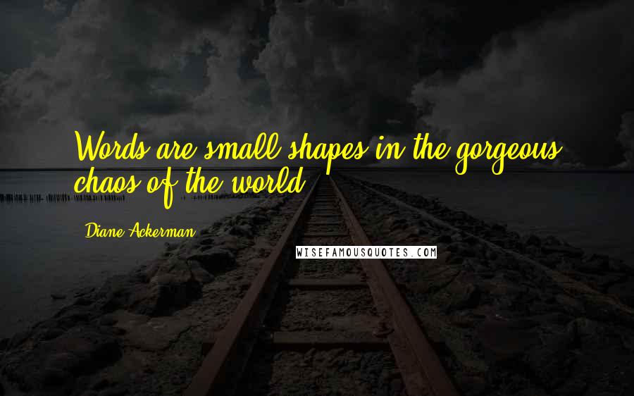 Diane Ackerman Quotes: Words are small shapes in the gorgeous chaos of the world.