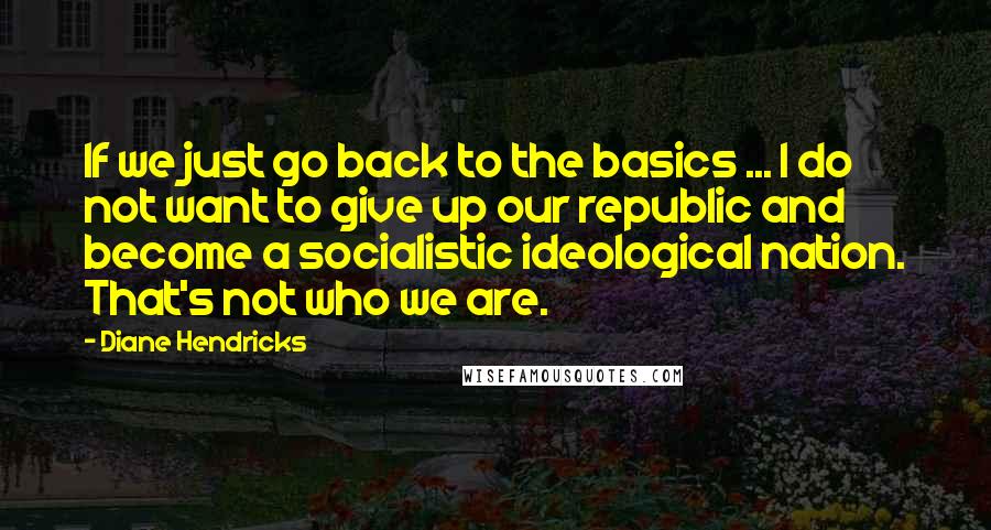 Diane Hendricks Quotes: If we just go back to the basics ... I do not want to give up our republic and become a socialistic ideological nation. That's not who we are.