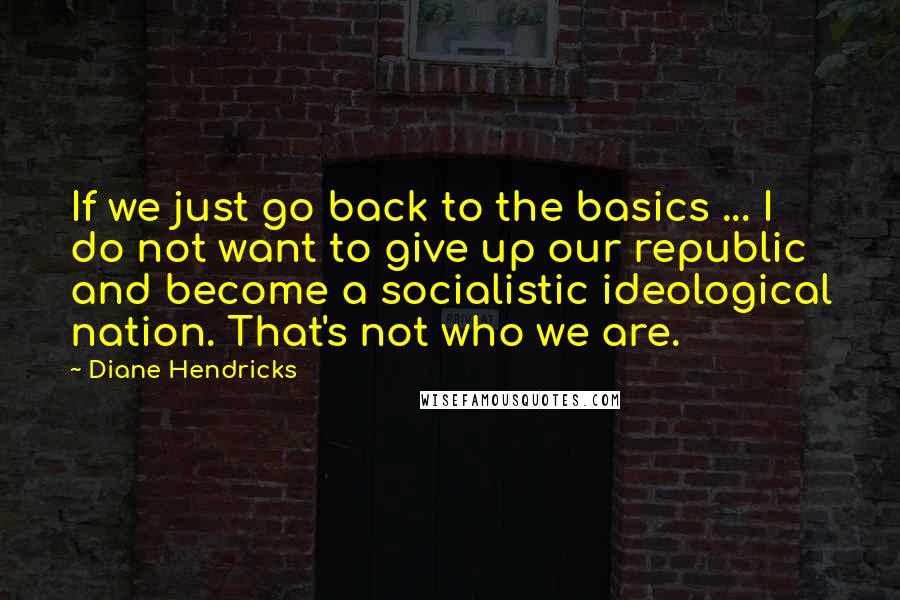 Diane Hendricks Quotes: If we just go back to the basics ... I do not want to give up our republic and become a socialistic ideological nation. That's not who we are.