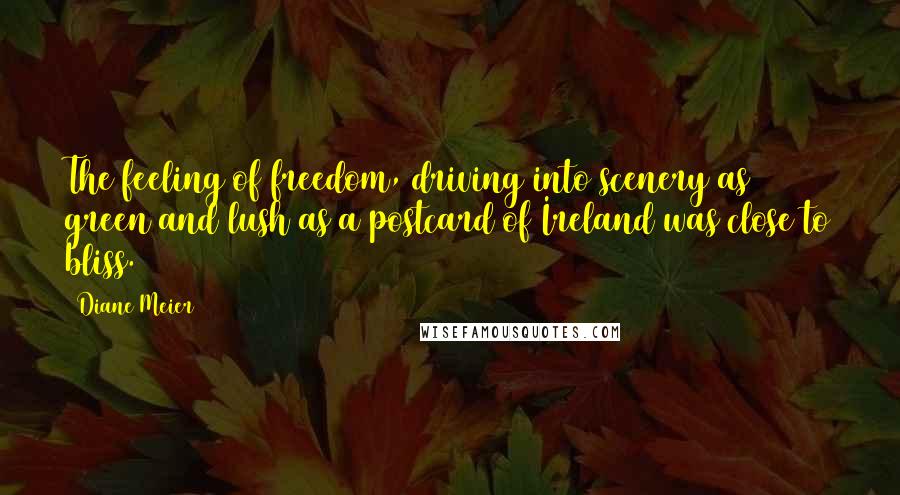 Diane Meier Quotes: The feeling of freedom, driving into scenery as green and lush as a postcard of Ireland was close to bliss.