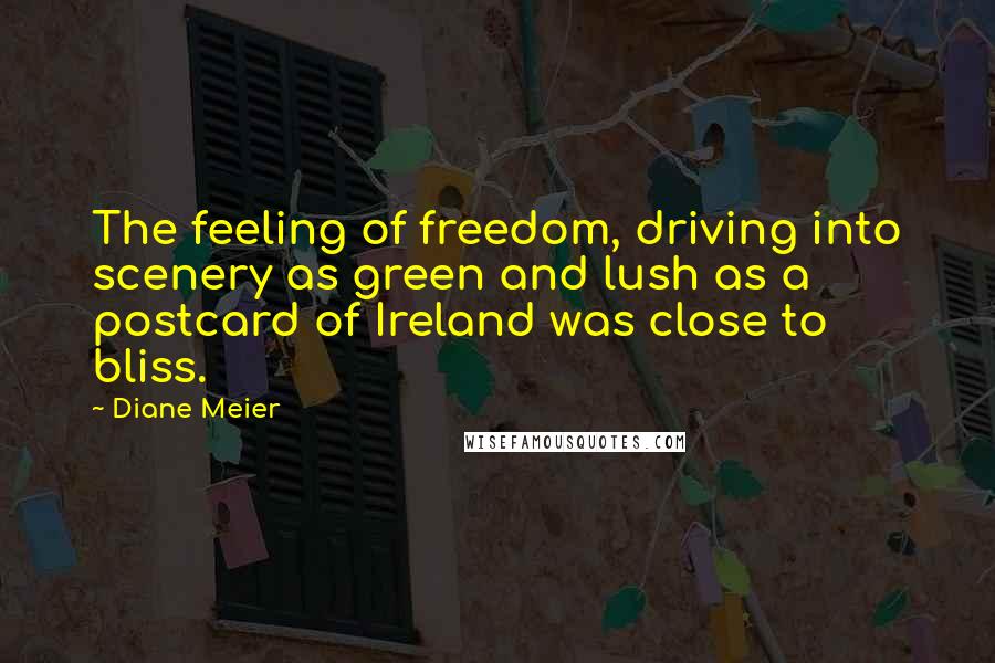 Diane Meier Quotes: The feeling of freedom, driving into scenery as green and lush as a postcard of Ireland was close to bliss.