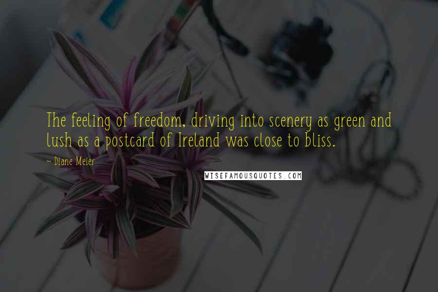 Diane Meier Quotes: The feeling of freedom, driving into scenery as green and lush as a postcard of Ireland was close to bliss.