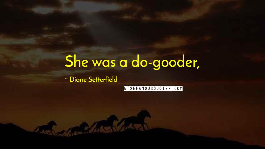 Diane Setterfield Quotes: She was a do-gooder,