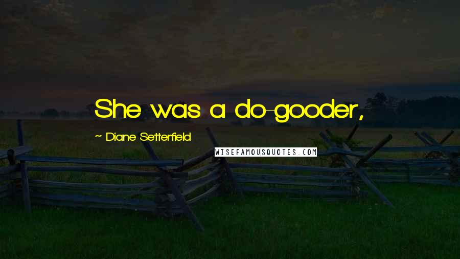Diane Setterfield Quotes: She was a do-gooder,