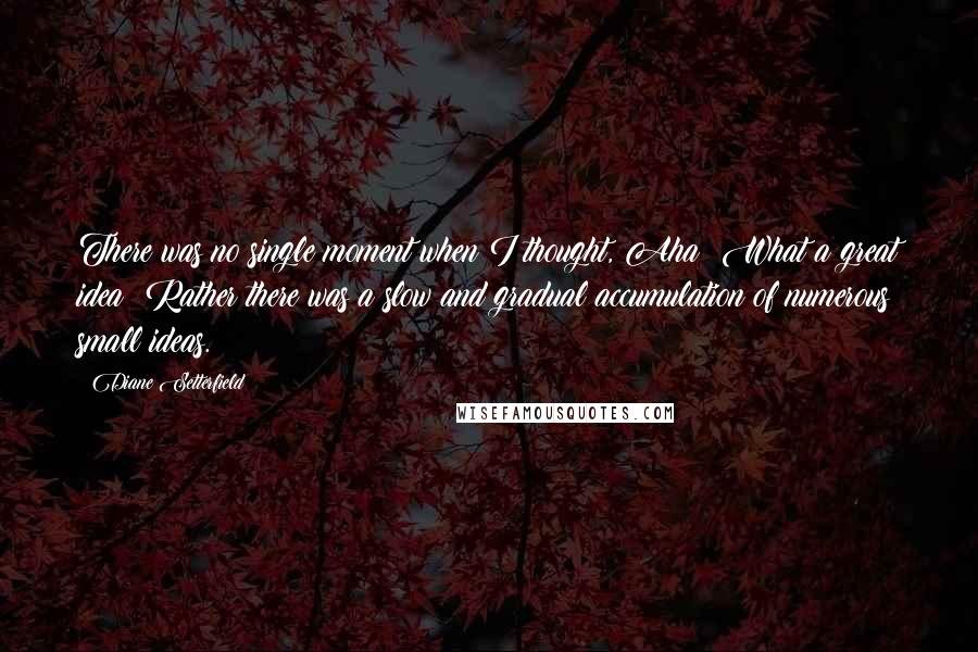 Diane Setterfield Quotes: There was no single moment when I thought, Aha! What a great idea! Rather there was a slow and gradual accumulation of numerous small ideas.