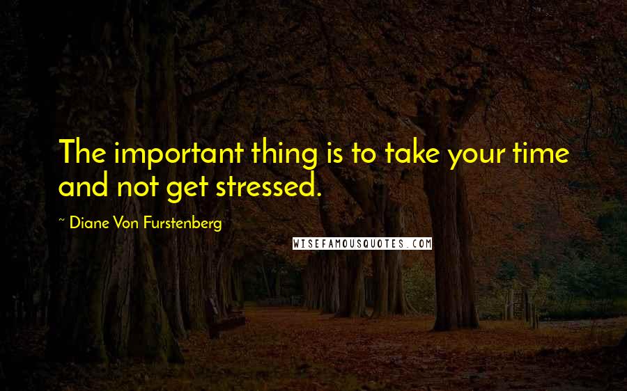 Diane Von Furstenberg Quotes: The important thing is to take your time and not get stressed.