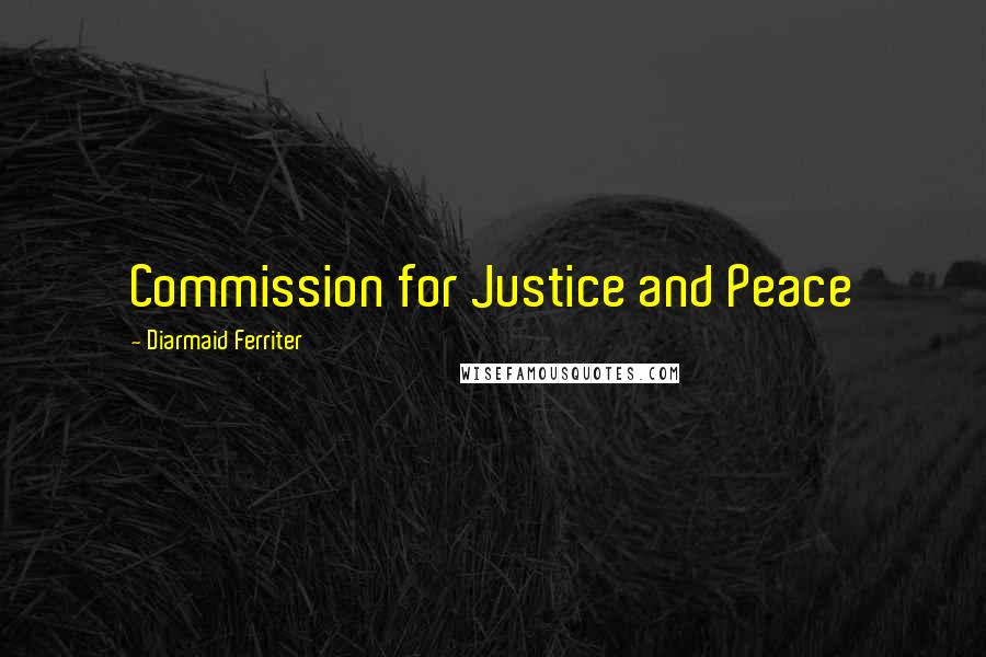 Diarmaid Ferriter Quotes: Commission for Justice and Peace