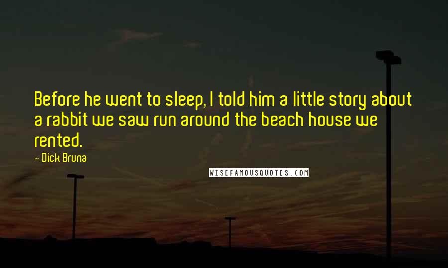 Dick Bruna Quotes: Before he went to sleep, I told him a little story about a rabbit we saw run around the beach house we rented.