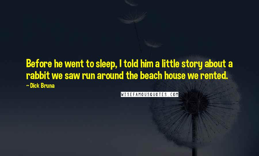Dick Bruna Quotes: Before he went to sleep, I told him a little story about a rabbit we saw run around the beach house we rented.