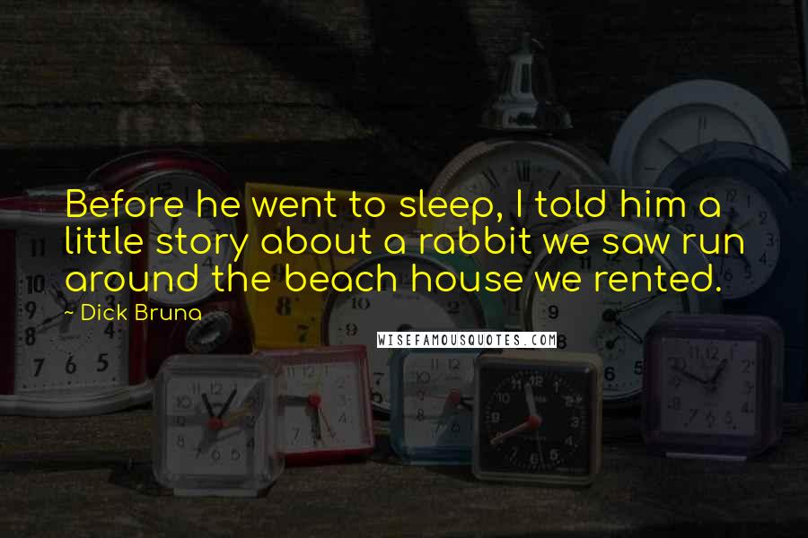 Dick Bruna Quotes: Before he went to sleep, I told him a little story about a rabbit we saw run around the beach house we rented.