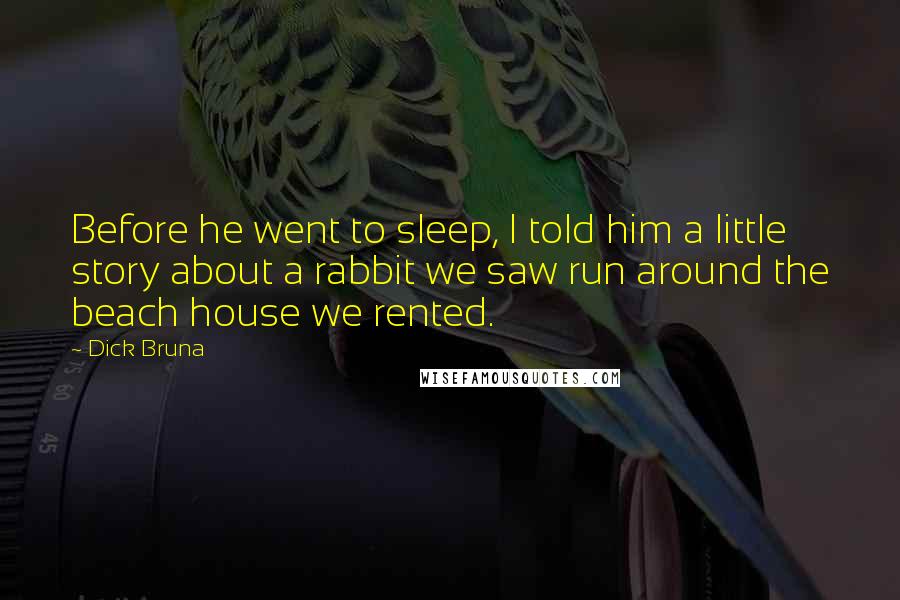 Dick Bruna Quotes: Before he went to sleep, I told him a little story about a rabbit we saw run around the beach house we rented.