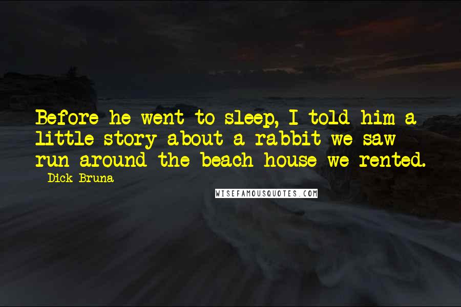 Dick Bruna Quotes: Before he went to sleep, I told him a little story about a rabbit we saw run around the beach house we rented.