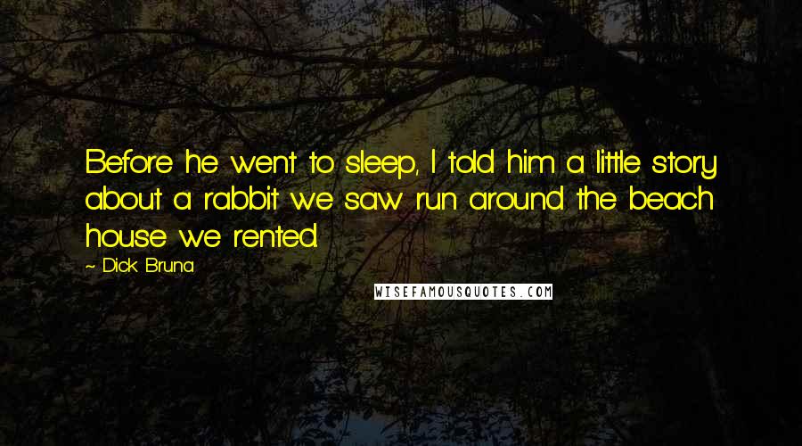 Dick Bruna Quotes: Before he went to sleep, I told him a little story about a rabbit we saw run around the beach house we rented.