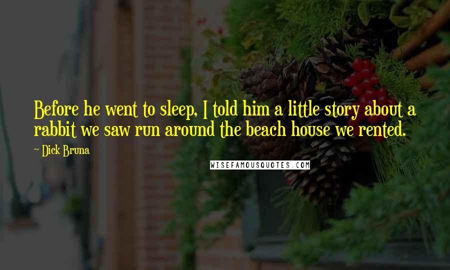 Dick Bruna Quotes: Before he went to sleep, I told him a little story about a rabbit we saw run around the beach house we rented.