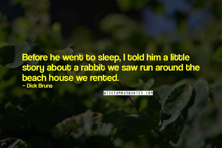 Dick Bruna Quotes: Before he went to sleep, I told him a little story about a rabbit we saw run around the beach house we rented.