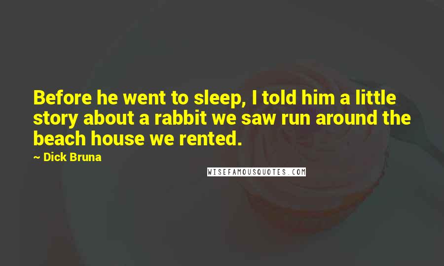 Dick Bruna Quotes: Before he went to sleep, I told him a little story about a rabbit we saw run around the beach house we rented.