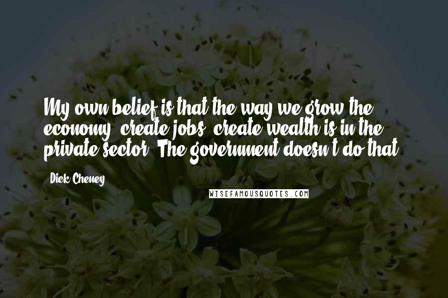 Dick Cheney Quotes: My own belief is that the way we grow the economy, create jobs, create wealth is in the private sector. The government doesn't do that.