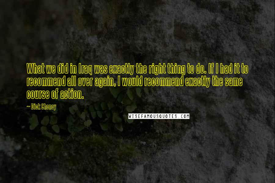 Dick Cheney Quotes: What we did in Iraq was exactly the right thing to do. If I had it to recommend all over again, I would recommend exactly the same course of action.