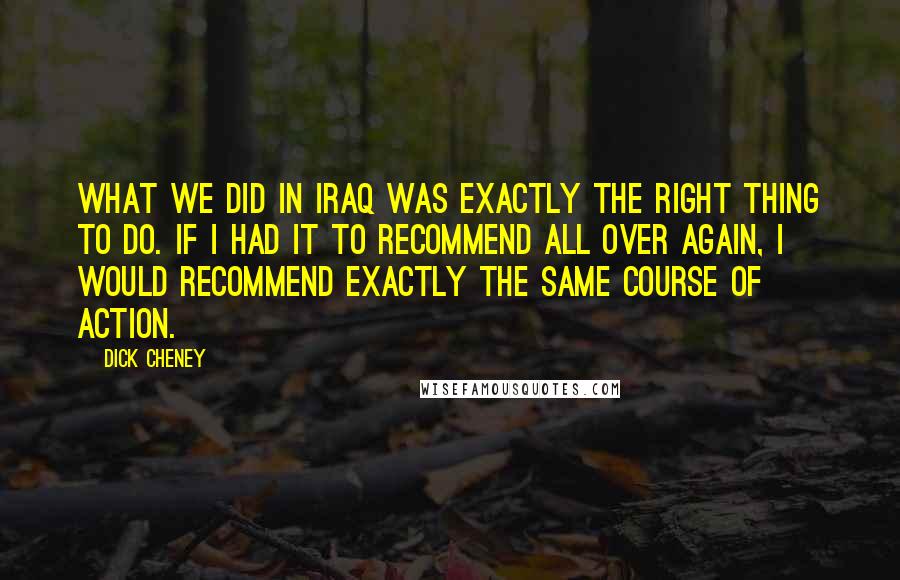 Dick Cheney Quotes: What we did in Iraq was exactly the right thing to do. If I had it to recommend all over again, I would recommend exactly the same course of action.