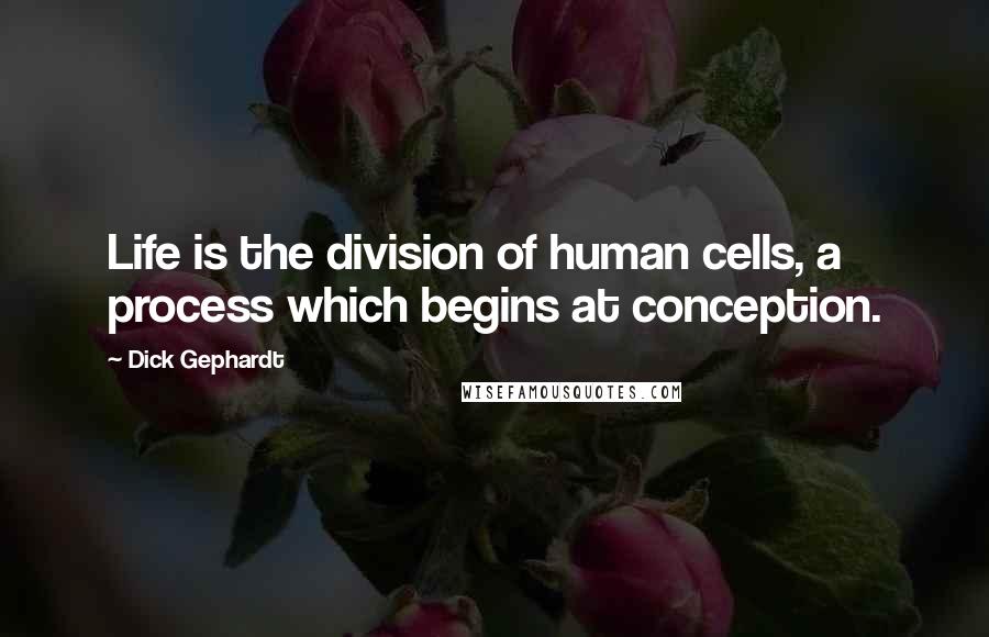 Dick Gephardt Quotes: Life is the division of human cells, a process which begins at conception.