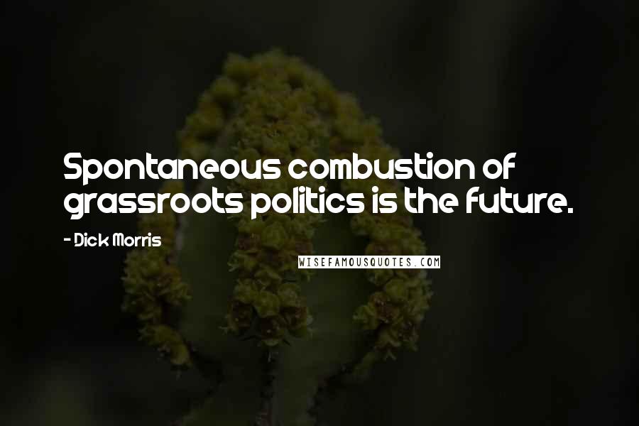 Dick Morris Quotes: Spontaneous combustion of grassroots politics is the future.