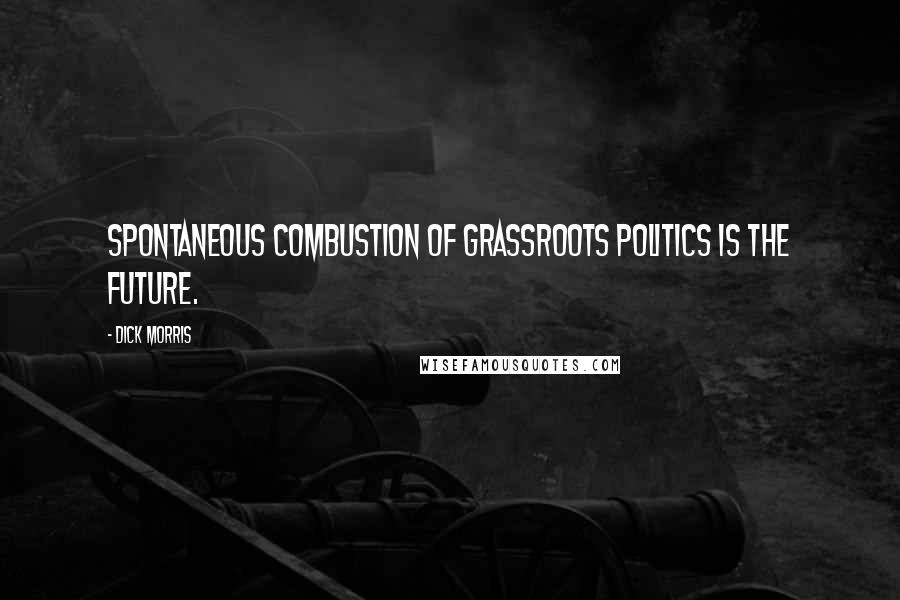 Dick Morris Quotes: Spontaneous combustion of grassroots politics is the future.