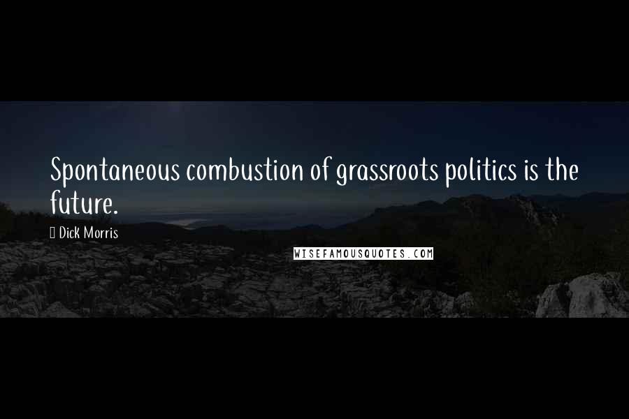 Dick Morris Quotes: Spontaneous combustion of grassroots politics is the future.