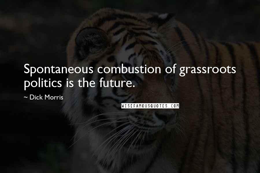 Dick Morris Quotes: Spontaneous combustion of grassroots politics is the future.