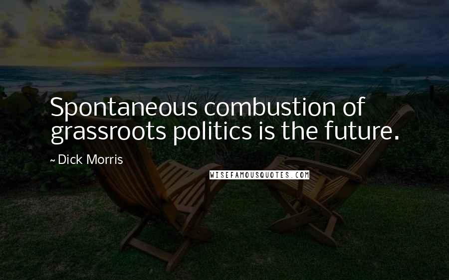 Dick Morris Quotes: Spontaneous combustion of grassroots politics is the future.