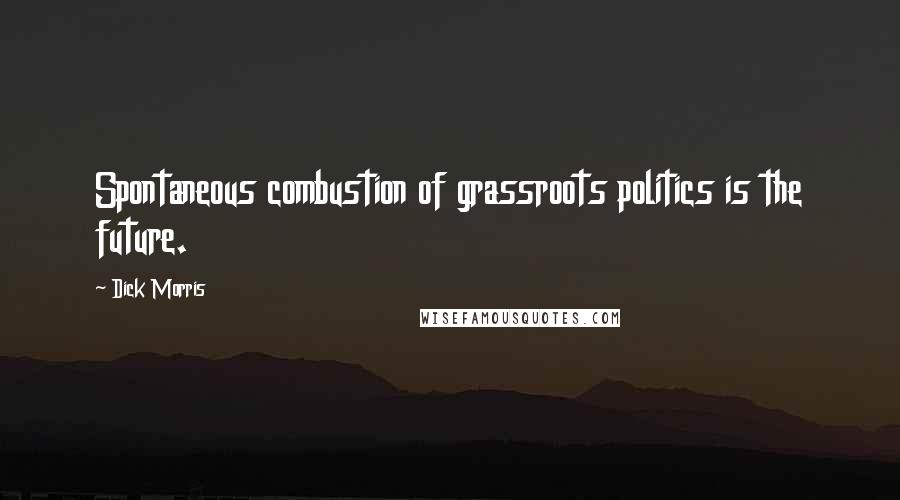 Dick Morris Quotes: Spontaneous combustion of grassroots politics is the future.