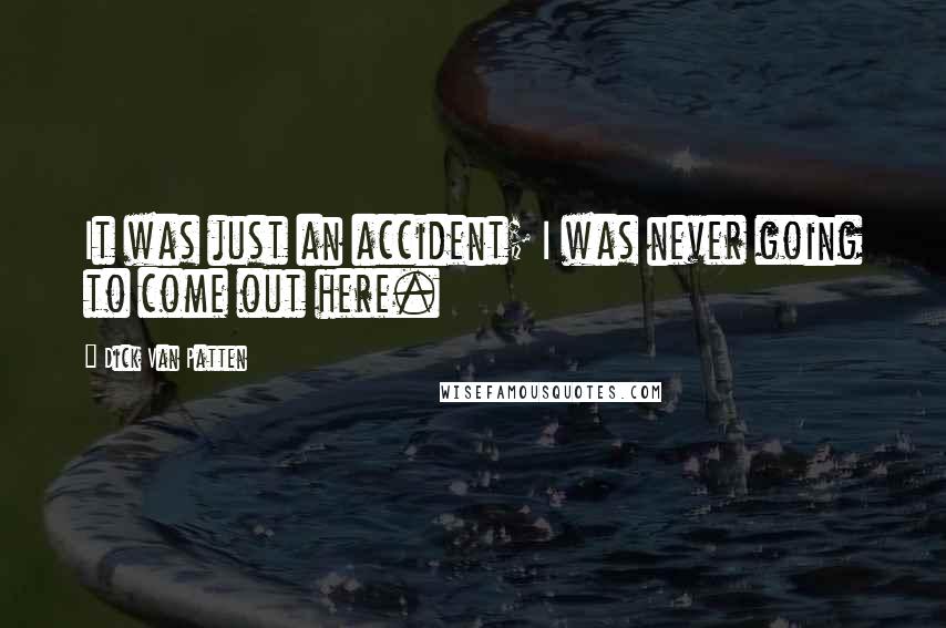 Dick Van Patten Quotes: It was just an accident; I was never going to come out here.