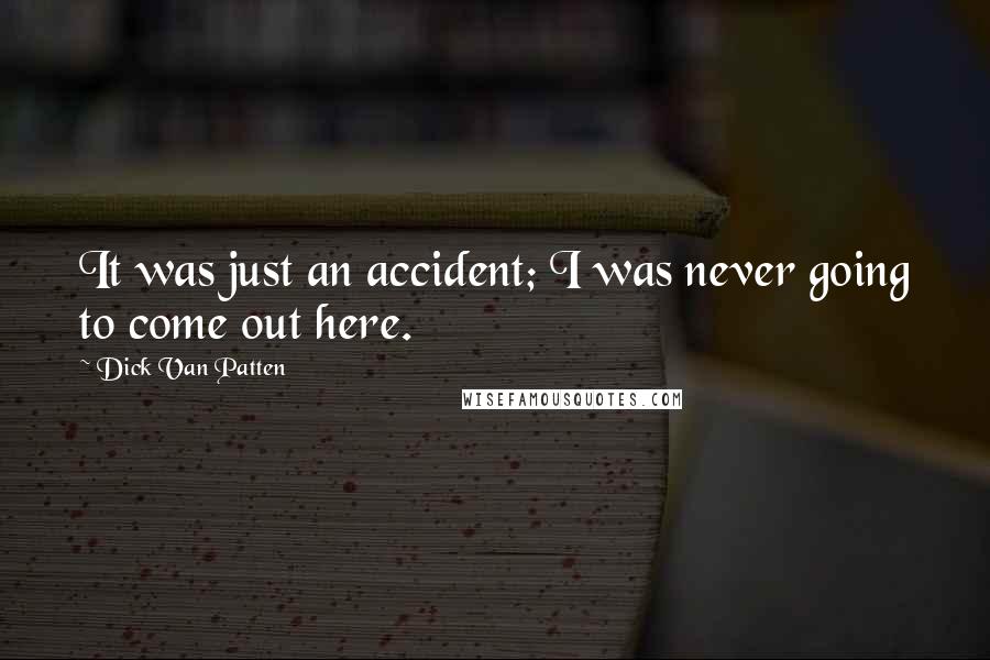 Dick Van Patten Quotes: It was just an accident; I was never going to come out here.