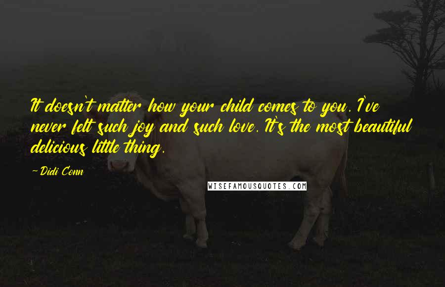 Didi Conn Quotes: It doesn't matter how your child comes to you. I've never felt such joy and such love. It's the most beautiful delicious little thing.