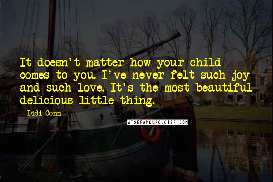 Didi Conn Quotes: It doesn't matter how your child comes to you. I've never felt such joy and such love. It's the most beautiful delicious little thing.