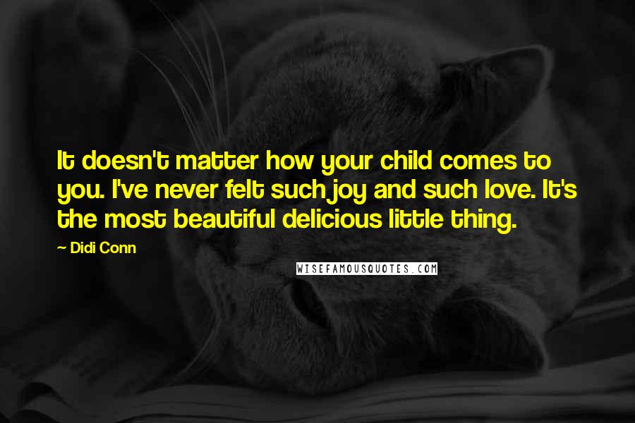 Didi Conn Quotes: It doesn't matter how your child comes to you. I've never felt such joy and such love. It's the most beautiful delicious little thing.