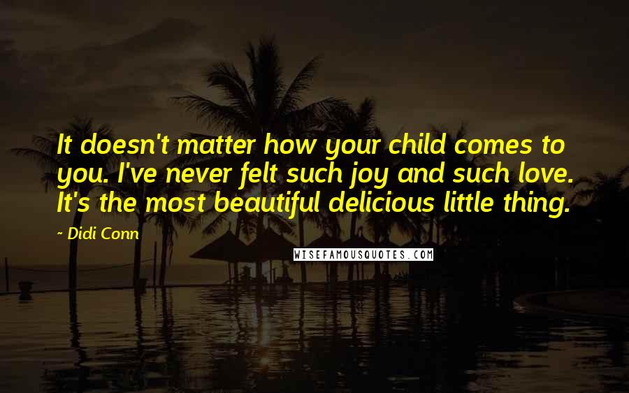 Didi Conn Quotes: It doesn't matter how your child comes to you. I've never felt such joy and such love. It's the most beautiful delicious little thing.