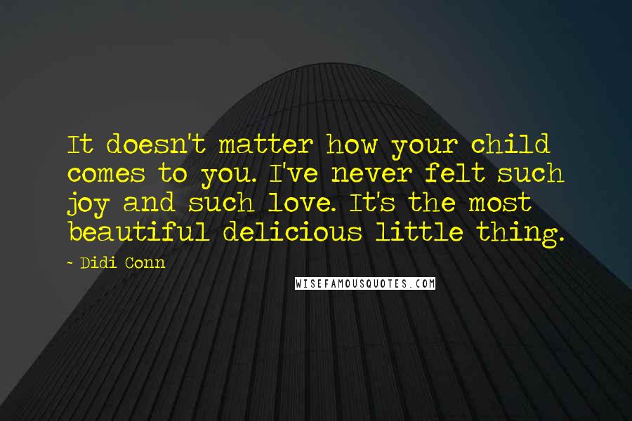 Didi Conn Quotes: It doesn't matter how your child comes to you. I've never felt such joy and such love. It's the most beautiful delicious little thing.