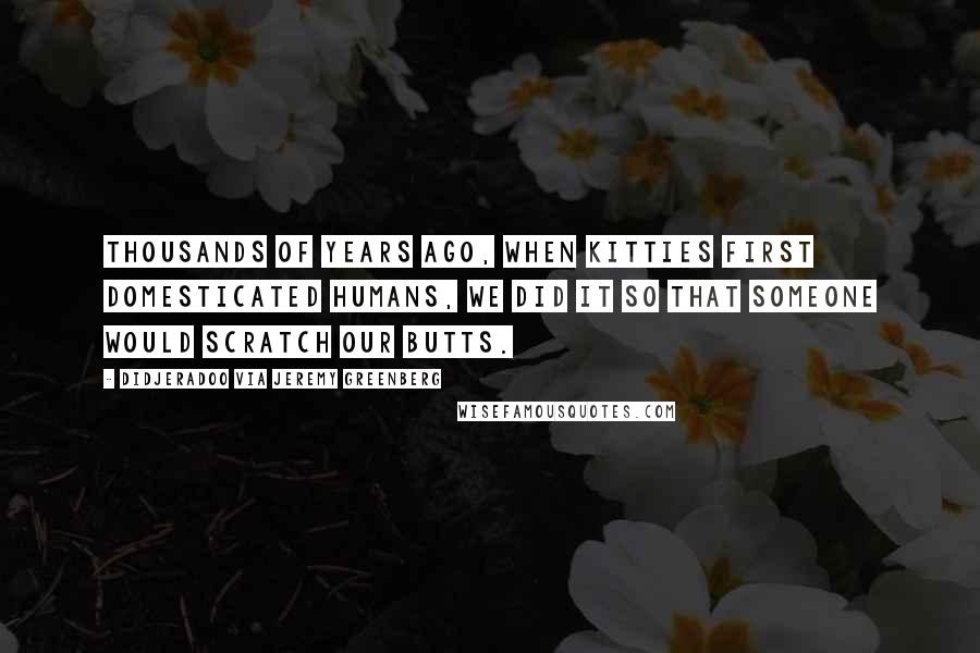Didjeradoo Via Jeremy Greenberg Quotes: Thousands of years ago, when kitties first domesticated humans, we did it so that someone would scratch our butts.