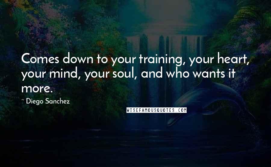 Diego Sanchez Quotes: Comes down to your training, your heart, your mind, your soul, and who wants it more.