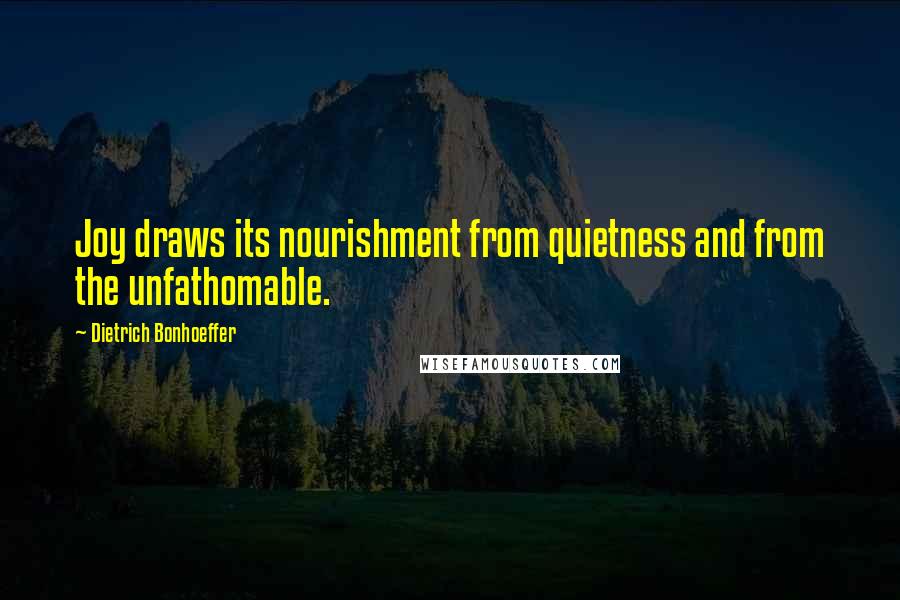 Dietrich Bonhoeffer Quotes: Joy draws its nourishment from quietness and from the unfathomable.