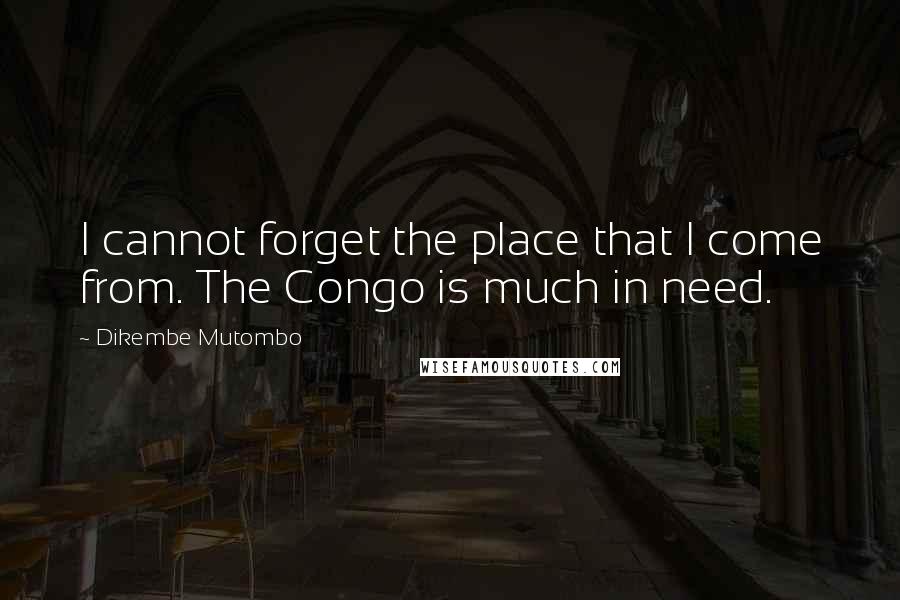 Dikembe Mutombo Quotes: I cannot forget the place that I come from. The Congo is much in need.