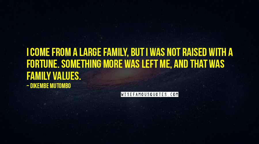 Dikembe Mutombo Quotes: I come from a large family, but I was not raised with a fortune. Something more was left me, and that was family values.