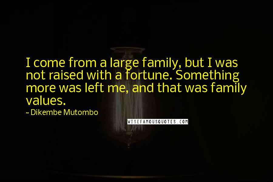 Dikembe Mutombo Quotes: I come from a large family, but I was not raised with a fortune. Something more was left me, and that was family values.