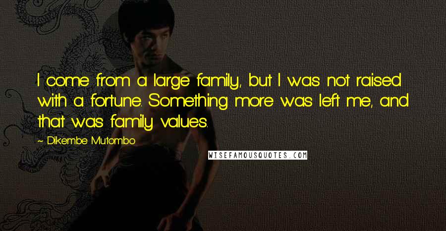 Dikembe Mutombo Quotes: I come from a large family, but I was not raised with a fortune. Something more was left me, and that was family values.